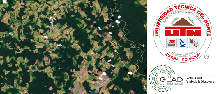 Análisis forestal
